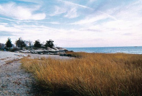 Stamford Connecticut